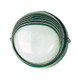 Green Wall Light 240V E27 60W IP54 180mm Green Wall Light 240V E27 60W IP54 180mm